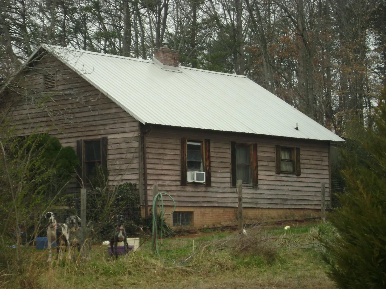 White metal roof on an old wood sided farmhouse, from a Asphalt Shingle Roof Repair job in Farrell